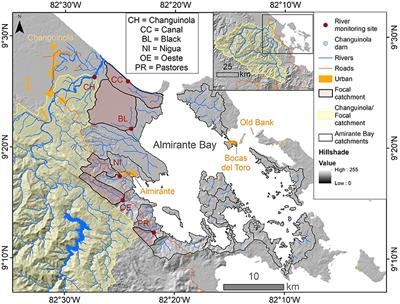 Land Use and Land Cover Shape River Water Quality at a Continental Caribbean Land-Ocean Interface